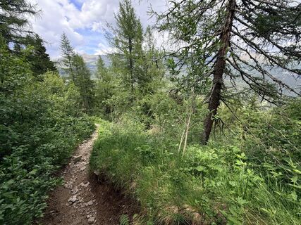 Foto von Berry de haas entlang der Tour