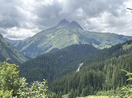 Foto von Grizzli entlang der Tour