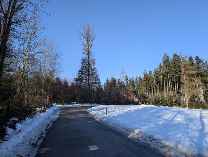 Foto von Stefan Bock entlang der Tour