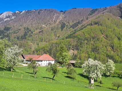 Kuva osoitteesta Carina Reichenpfader matkan varrella