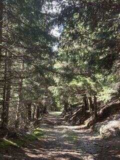 Foto de Agnese Martinelli a lo largo del recorrido