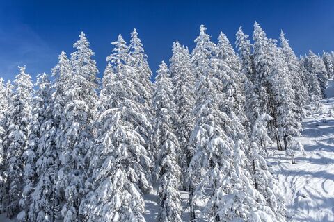 Winterlandschaft