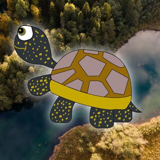 Schildkröte Emy - Keutschacher Moorlehrpfad
