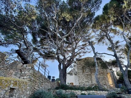 Fotografija s spletne strani Heidi na poti