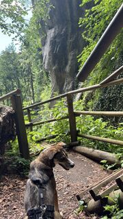 Zdjęcie z leooo wzdłuż trasy