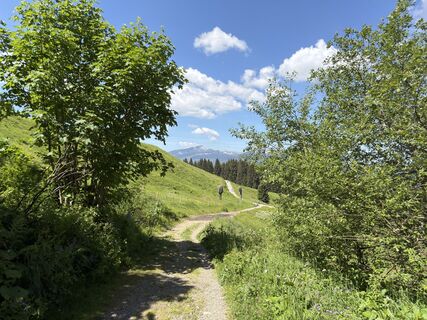 Foto von Frank Neumann entlang der Tour