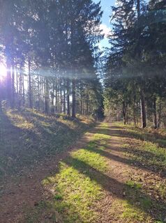 Foto von Michael Forstner entlang der Tour