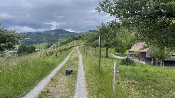 Photo de Lis Malzach le long du parcours