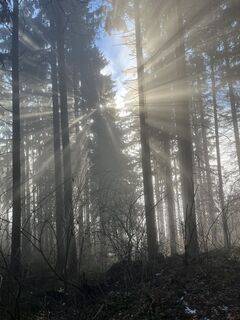 Photo de Clemens Roiß le long du parcours
