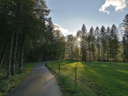 Enge Vorsäß in Mellau