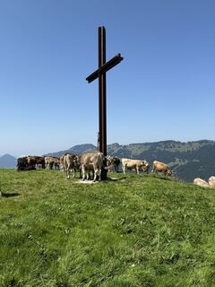 Foto von Michael Müller 62 entlang der Tour