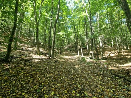 Foto de ÁdámHorváth007 a lo largo del recorrido