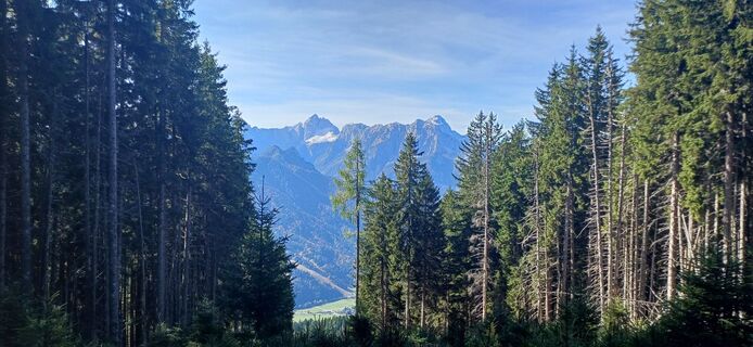 Zdjęcie z Janez Perko wzdłuż trasy