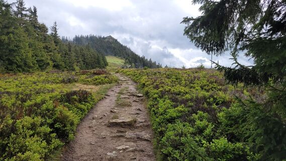 Foto von Juliane entlang der Tour