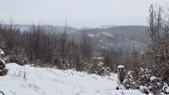 Foto von Katja Senkel entlang der Tour