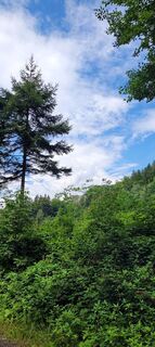 Foto da Alois-Gerhard Mairitsch lungo il tour