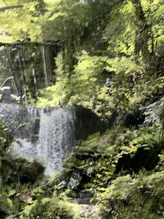 Photo de GabrielSR76 le long du parcours