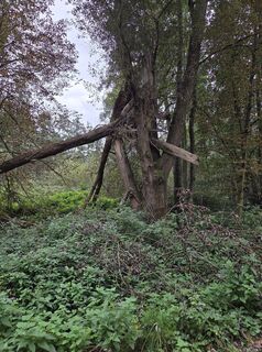 Foto von Silke S. entlang der Tour