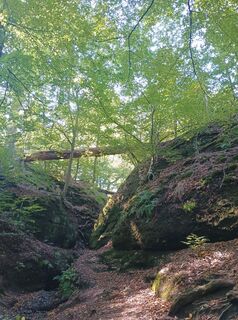 Foto von Andreas Beuster Huke entlang der Tour