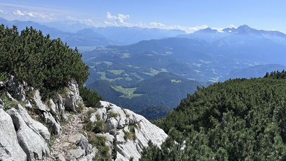 Foto von Mountain Cat ? ⛰️ entlang der Tour
