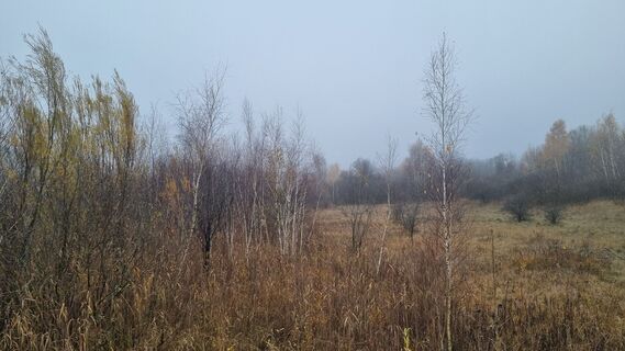Zdjęcie z Doris Dangl wzdłuż trasy