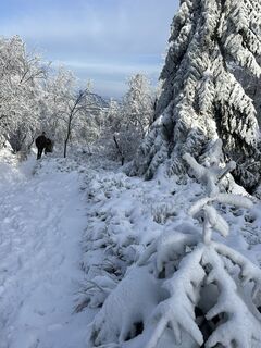 Photo de Andreas Hoffmann le long du parcours