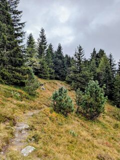 Photo de Sabrina Hackel le long du parcours