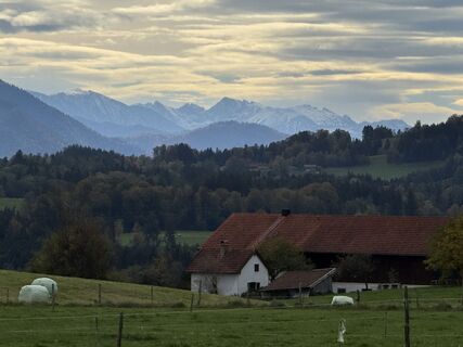 Foto von Denise Miller entlang der Tour
