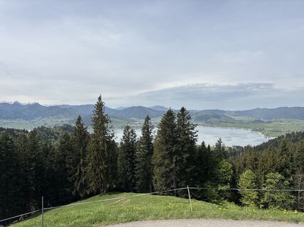 Fotografie z Andrea Anliker na trase