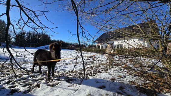 Foto von Edit Szoboszlay entlang der Tour