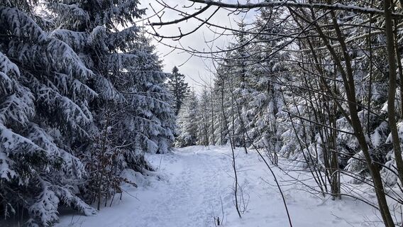Foto von Christian Kakuska entlang der Tour