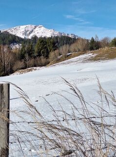 Foto von Mimi entlang der Tour