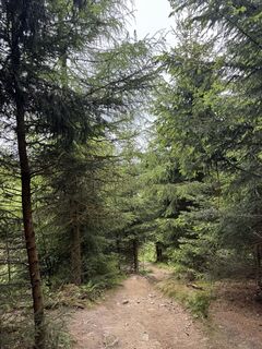 Photo de Alexander Herrmann 2 le long du parcours