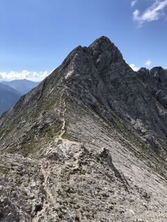 Foto von Heikoala entlang der Tour
