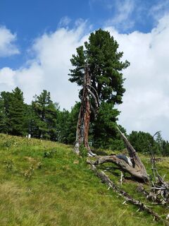 Foto von Martin Helminger entlang der Tour