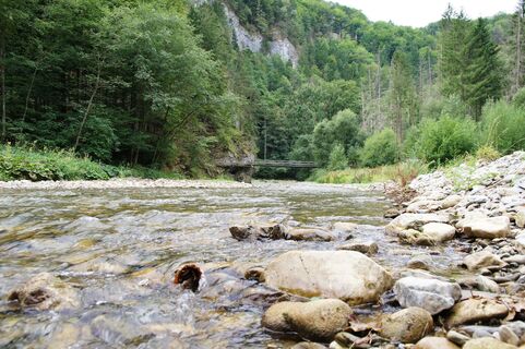 Dürntal-Raabklamm-Arzberg-Runde