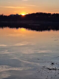 Foto de Mimi a lo largo del recorrido