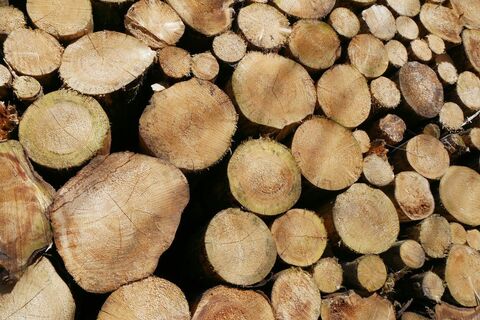 Holzstapel