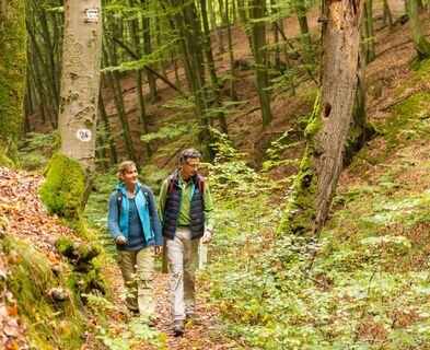 Sagenhafter Waldpfad