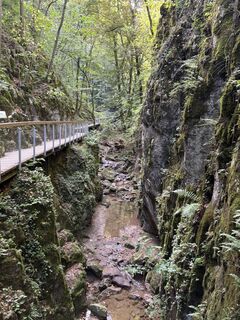 Фото с сайта Georgiamartin0815 во время экскурсии