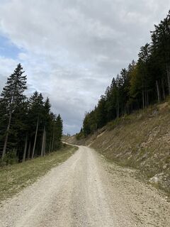 Foto von Melanie Hörzer entlang der Tour