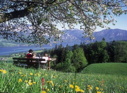 Blick auf den Attersee und Höllegebirge