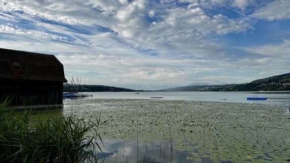 Foto von Capricorn entlang der Tour