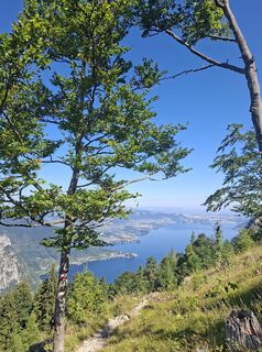 Foto von Berger entlang der Tour