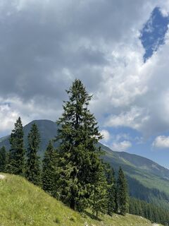 Fotografia z Carmen Arnold na trase