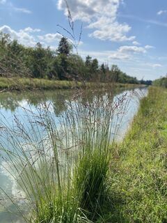 Foto van Sven Krieblin langs de tour