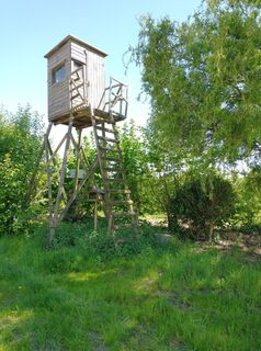 Fotografie z Janlee na trase