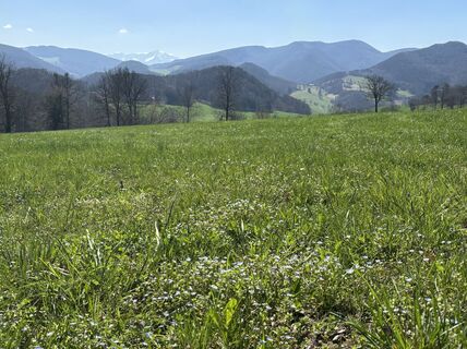 Fotografia z Robert Kremlicka na trase