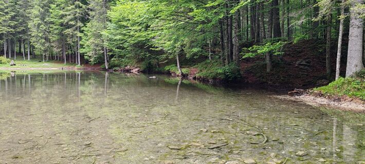 Foto de Mirko milanese a lo largo del recorrido