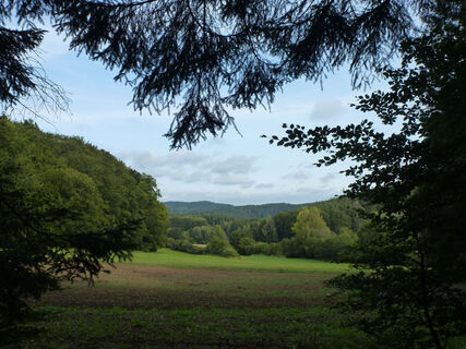 HI_RW2_P1070803_Schöpfental_FotoVF